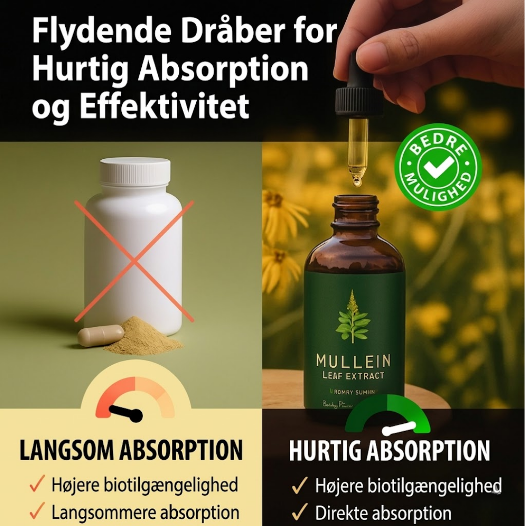 Nye Maksimum Styrke Kongely Dråber Til Rygere